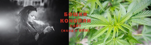 PSILOCYBIN Арсеньев