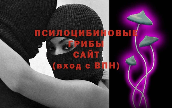 спиды Аркадак