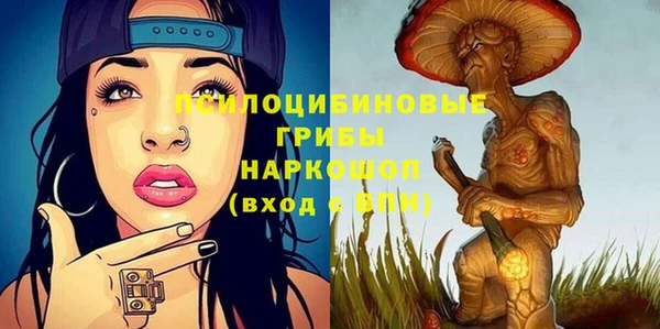 PSILOCYBIN Арсеньев