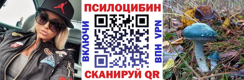 даркнет официальный сайт  Нязепетровск  Псилоцибиновые грибы Psilocybe 