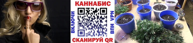 купить   Нязепетровск  Шишки марихуана марихуана 